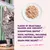 Edgard & Cooper Filets pour chat adulte 24 x 70 g - saumon, poulet Edgard & Cooper Filets pour chat adulte 24 x 70 g - saumon, poulet