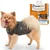 ThunderShirt Beruhigungsweste für gestresste Hunde. Effektive Lösung bei Stress, Angst und lauten Geräuschen. Grösse XS bis XL verfügbar. Sanfte Methode, wissenschaftlich belegt.