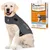 Gilet ThunderShirt gris porté par un chien, boîte visible : Solution efficace pour relaxer les chiens stressés, XL 29–50 kg, méthode douce, fonctionne chez +80% des chiens, facile à utiliser.