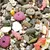 Miscela di mangime per piccoli animali composta da pellet verdi, fiocchi vegetali, cereali e pezzi colorati. Nessun marchio o testo visibile.