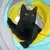 Schwarze Katze spielt in einem gelb-blauen Spieltunnel. Produkt zur Unterhaltung von Katzen.