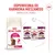 Royal Canin Fussy Exigent