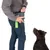 Homme portant une pochette de friandises grise à la taille, main dans la pochette, sac plastique vert visible, chien assis regardant l’homme. Pochette en tissu et plastique.