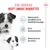 Royal Canin Mini Starter Mother & Babydog Hondenvoer