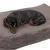 Schwarzer Dackel liegt auf einem grauen, flauschigen Hundebett.
