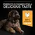 Text reads: Perfectly cooked for a delicious taste. No.1 ingredient chicken, with an image of a chicken and a puppy shown beside the text.