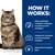 Hill's Prescription Diet Feline Gastrointestinal Biome - Chicken - 12 x 85g Hill's Prescription Diet Feline Gastrointestinal Biome - Chicken - 12 x 85g