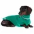 Dachshund wearing green knitted jumper with white stripe and turtleneck, visible logo on the side.
