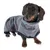 Hund trägt grauen Fleece-Mantel mit roten Akzenten und schwarzem Rand. Produkt zeigt Mantel für Hunde.