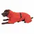 Hond in rode regenjas met capuchon, reflecterende strepen en verstelbare buikriem. Logo 'NT' zichtbaar aan de zijkant.