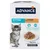 Advance Kitten 2-12 месеца с пиле, 12x85g. Подпомага здравословния растеж и развитието на мускули и кости. Без оцветители и консерванти. Advance Kitten 2-12 месеца с пиле, 12x85g. Подпомага здравословния растеж и развитието на мускули и кости. Без оцветители и консерванти.