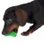 Hund med grönt tuggleksak av plast i munnen, visar användning av leksaken.