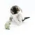 Kitten playing with green fabric toy shaped like a mouse with rope.