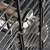 Close-up of a cage grid with metal wing nut and wooden perch, attached for stability and functionality.
