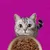 Whiskas Pure Delight in buste 96 x 85 g umido per gatti
