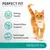 PERFECT FIT supports whole body health. Kidney Health, Muscle Mass Support, Optimized Nutrient Levels. SENIOR 11+. Billede af orange kat.