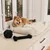 Dog lying on a cream-coloured dog bed made of ribbed fabric. Next to the bed are a black knotted ball and a black bone-shaped chew toy.