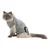 Trixie OP-Body til katter