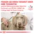 Fragen Sie Ihren Tierarzt oder Ihre Tierärztin, welche Nahrung aus dem Veterinär-Sortiment von Royal Canin die richtige Wahl für Ihren Hund ist. Veterinary Nutrition Logo sichtbar.