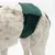 Hund trägt eine grüne, wiederverwendbare Schutzhose für Inkontinenz oder Läufigkeit.