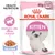 Royal Canin Kitten, confezione da 12 buste da 85 g. Testi visibili: Health Nutrition, Sostegno alle difese naturali, Gelatina. Immagine di un gattino e crocchette in gelatina.