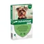 Advantage® 40 pour chien de moins de 4 kg - 2 x 4 pipettes