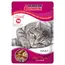 Pachet economic Super Benek Super Chunks 48 x 100 g - Vită în sos