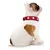 Collare per cani rosso con simboli a croce bianchi, indossato da un cane. Mostra design e vestibilità del collare.