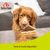 8in1 Better Bello Chicken Twisted Sticks