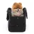 Kleine Hundetragetasche in Schwarz mit einem Hund darin, sichtbar mit rotem Geschirr. Tasche hat Reissverschlüsse und Druckknöpfe vorne.