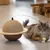 Designed by Lotte kloreball Wiggly til katter