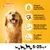 Pedigree Schmackos Mega Box - Multi Mix