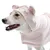 Dog wearing a pink hooded costume with sheep motif and ears. Product shows clothing for pets.