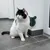 Black and white cat sitting next to a green wall brush with white bristles, attached to a corner.