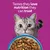 Text in image: Tastes they love, nutrition they can trust. Pictured are a grey cat and a bowl with dry food.