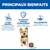 Principaux avantages : équilibre optimal entre protéines, lipides et glucides, antioxydants pour le système immunitaire, ingrédients favorisant une digestion légère et saine. Principaux avantages : équilibre optimal entre protéines, lipides et glucides, antioxydants pour le système immunitaire, ingrédients favorisant une digestion légère et saine.