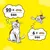 Feeding guide showing 20 pieces per 24 hours for an adult cat and 6 pieces per 24 hours for a kitten, illustrated with cartoon cats.