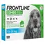 Frontline Combo Spot-On Hond M - 10-20 kg - Dubbelpak: 2 x 6 Pipetten x 1,34 ml