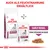 Royal Canin Early Renal VETERINARY, sachet et sac visibles. Texte en allemand : AUCH ALS FEUCHTNAHRUNG ERHÄLTLICH, EARLY RENAL, FEINE STÜCKCHEN IN SOSSE.