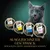 Sheba Sauce Collection, 4 barquettes de 85 g pour chat. Texte en allemand : Ausgezeichneter Geschmack dem Katzen nicht widerstehen können.