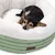 Hund liegt in einem grünen und weissen Kuschelbett mit Modern Living Logo auf der Vorderseite.