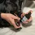 Flacon kooa Paw Care Spray tenu par une main, application du produit sur la patte d’un chien. Étiquette visible avec dessin de chien et texte « Paw Care Spray » et « kooa ».