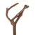 Natural wooden branch with forked ends, suitable as perch or climbing aid for birds.