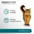 Vitality and agility, healthy weight control, sterile 1 plus. Image shows a cat with icons highlighting these product benefits.
