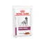Royal Canin Veterinary Canine Early Renal in Salsa umido cane - Set %: 24 x 100 g