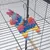 Jouet suspendu en forme d’âne coloré à franges, accroché dans une cage métallique pour oiseaux ou petits animaux. Crochet métallique visible en haut du jouet.