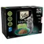 Sheba Kitten in Gravy Mixed Selection, 12 x 85g packs with salmon and chicken, grain-free recipe, complete and balanced, suitable for 2-12 months, 100% recyclable paper.