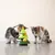 Two cats playing with a green Christmas tree-shaped toy with yellow balls.
