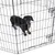 Enclos pour chien en métal noir, avec un chien à poil court noir et feu à l’intérieur. Porte visible sur le côté droit de l’enclos.