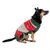 Hund trägt einen gestrickten Pullover in Grün, Rot und Beige mit Rentier- und Schneeflockenmotiv.